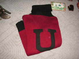 pict8200.jpg (256327 bytes)