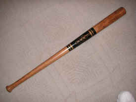 pict8290.jpg (203493 bytes)