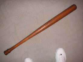 pict8295.jpg (187762 bytes)