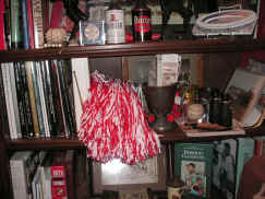 pict8520.jpg (254635 bytes)