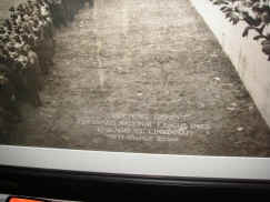 pict8546.jpg (190172 bytes)