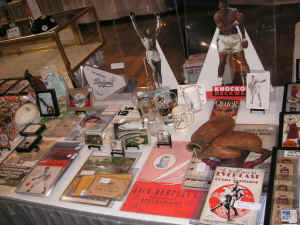 pict9580.jpg (235156 bytes)